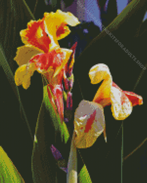 Canna Flower Diamond Painting