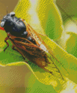 Cicadas Insect Back Diamond Painting