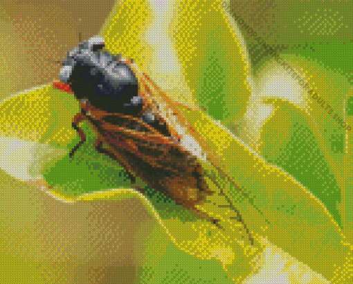 Cicadas Insect Back Diamond Painting