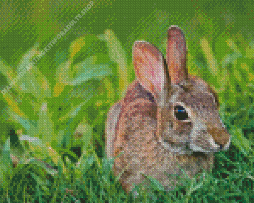 Close up European Rabbit Diamond Painting