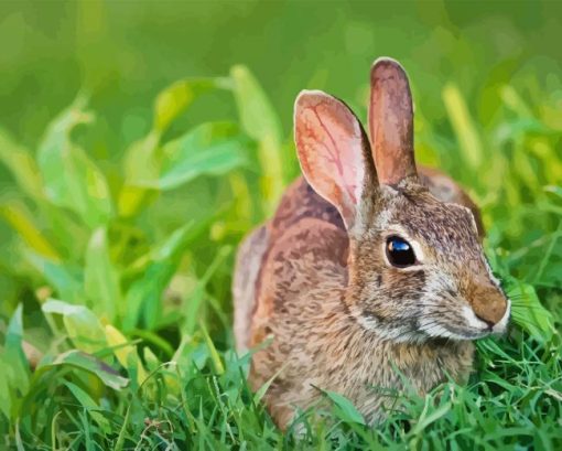 Close up European Rabbit Diamond Painting