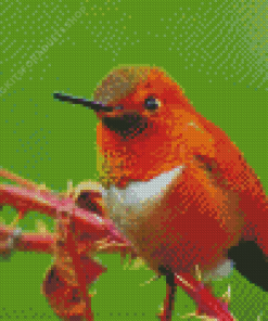 Close Up Rufous Hummingbird Diamond Painting