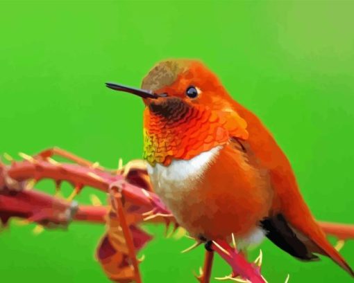 Close Up Rufous Hummingbird Diamond Painting