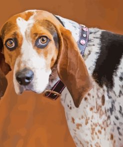 Coonhound Diamond Painting