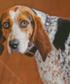 Coonhound Diamond Painting