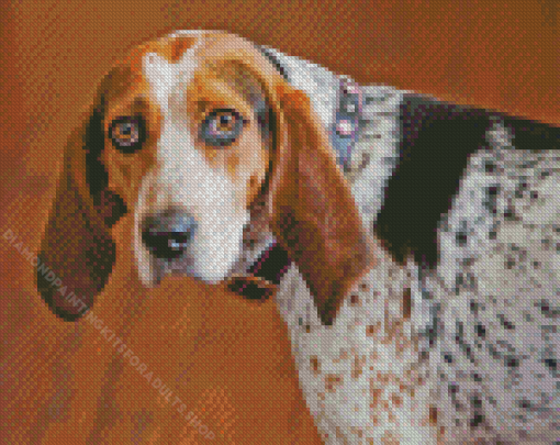 Coonhound Diamond Painting