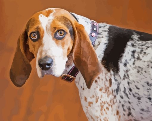 Coonhound Diamond Painting