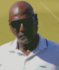 Cricketer Viv Richards Diamond Painting