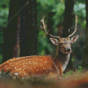 Deer And Forest Diamond Painting