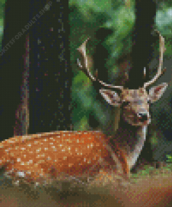 Deer And Forest Diamond Painting