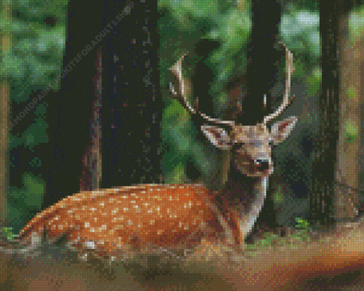 Deer And Forest Diamond Painting