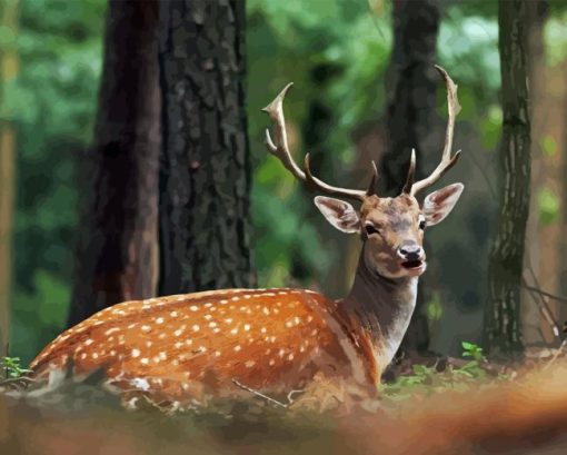 Deer And Forest Diamond Painting