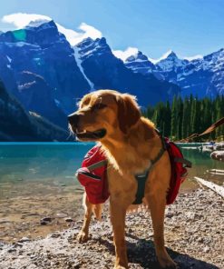 Dog On A Lake Diamond Painting