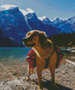 Dog On A Lake Diamond Painting