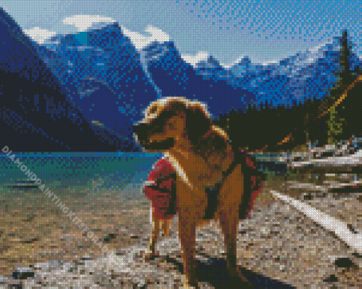 Dog On A Lake Diamond Painting