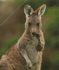 Eastern Grey Kangaroo Animal Diamond Painting