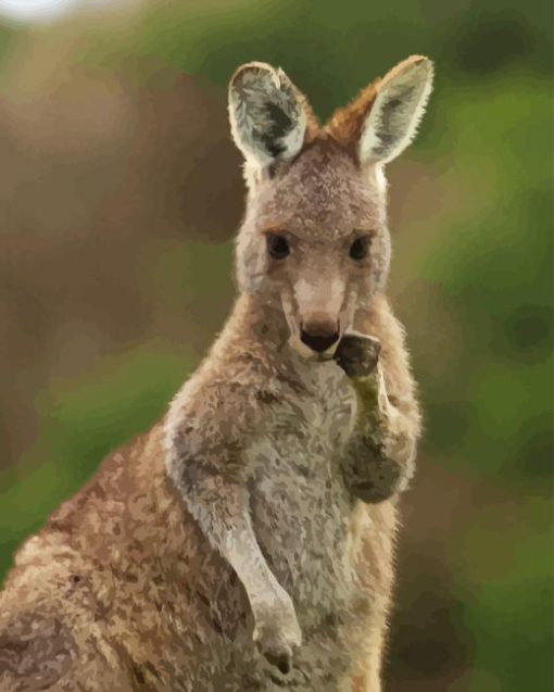 Eastern Grey Kangaroo Animal Diamond Painting