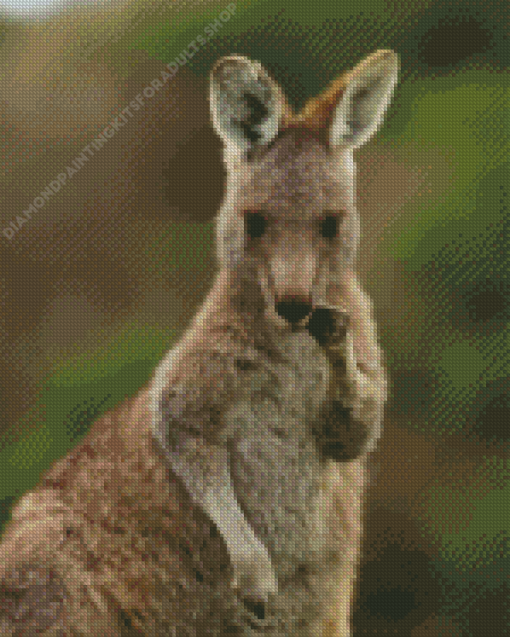 Eastern Grey Kangaroo Animal Diamond Painting