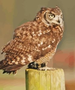 Eurasian Eagle Owl Side View Diamond Painting