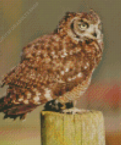 Eurasian Eagle Owl Side View Diamond Painting