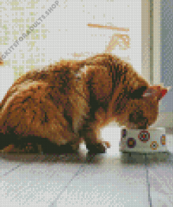 Fat Cat Eating Diamond Painting