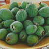 Feijoa Diamond Painting