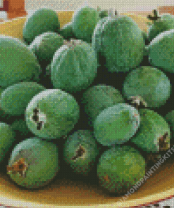 Feijoa Diamond Painting