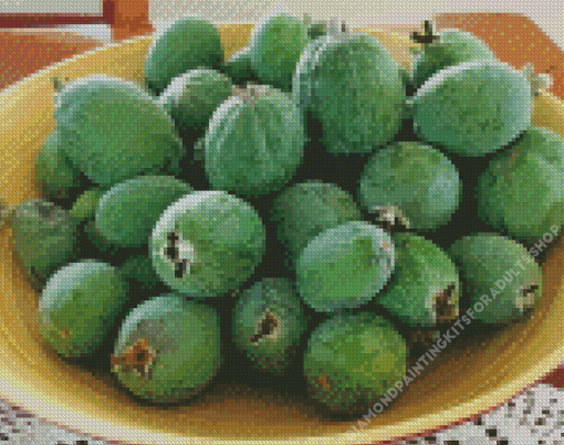 Feijoa Diamond Painting