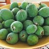 Feijoa Diamond Painting