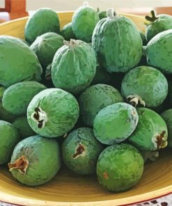 Feijoa Diamond Painting