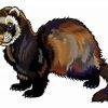 Furet Illustration Diamond Painting