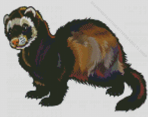 Furet Illustration Diamond Painting