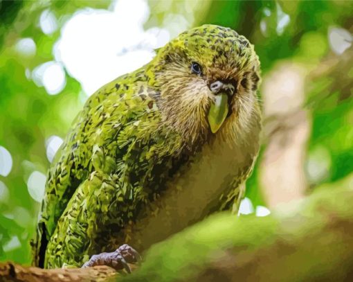 Green Kakapo Bird Diamond Painting