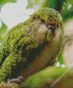 Green Kakapo Bird Diamond Painting