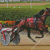 Harness Horse Race Diamond Painting