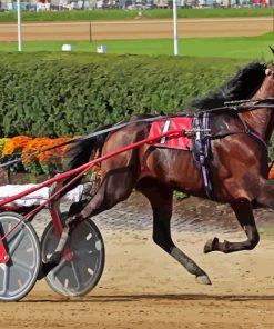 Harness Horse Race Diamond Painting