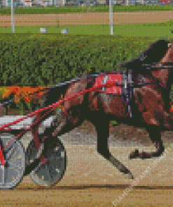 Harness Horse Race Diamond Painting