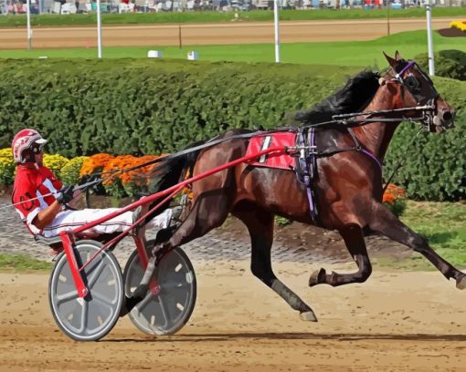 Harness Horse Race Diamond Painting