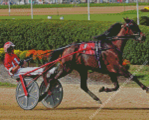 Harness Horse Race Diamond Painting