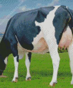 Holstein Friesian Cow Diamond Painting