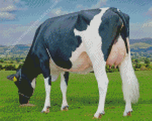 Holstein Friesian Cow Diamond Painting