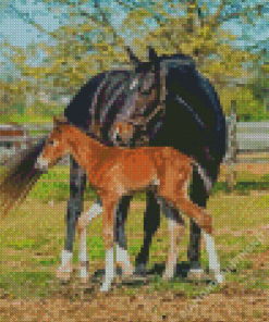 Horse And Colt Diamond Painting