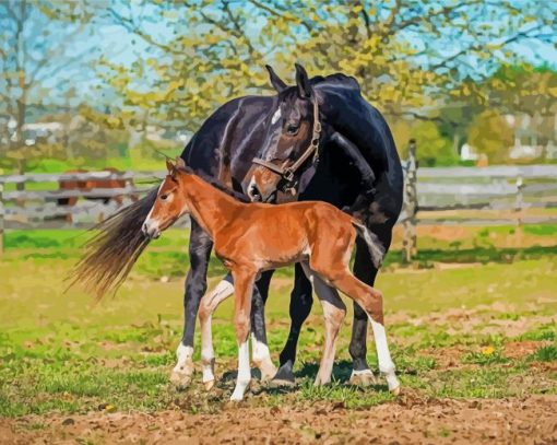 Horse And Colt Diamond Painting