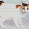 Japanese Bobtail Cat Diamond Painting