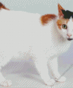 Japanese Bobtail Cat Diamond Painting