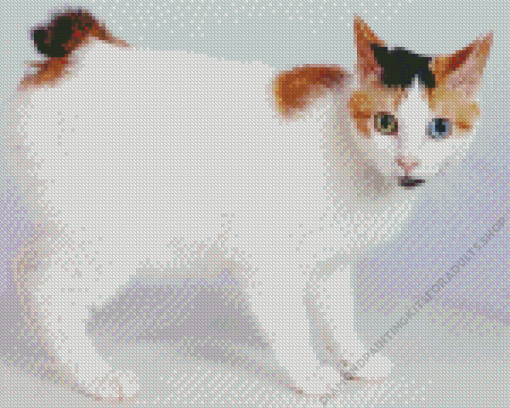 Japanese Bobtail Cat Diamond Painting