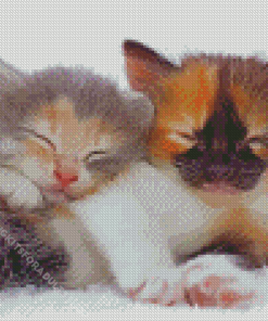 Kittens Sleeping Diamond Painting