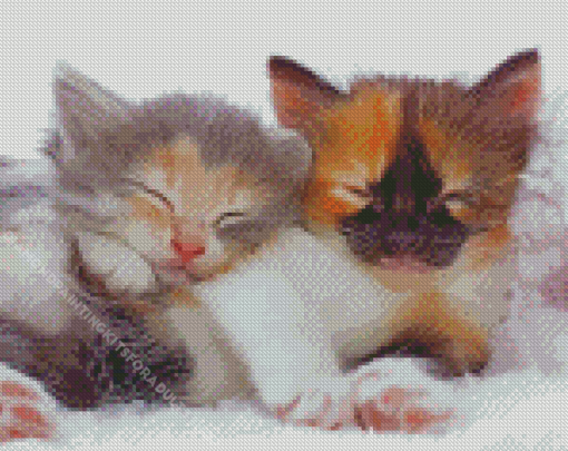 Kittens Sleeping Diamond Painting