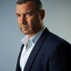 Liev Schreiber Diamond Painting