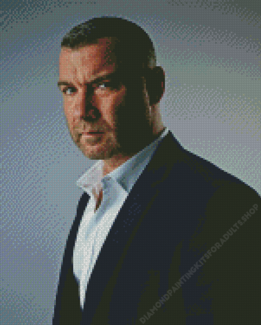 Liev Schreiber Diamond Painting